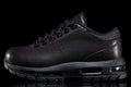 Air Max Goadome Low