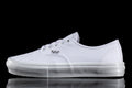 Skate Authentic