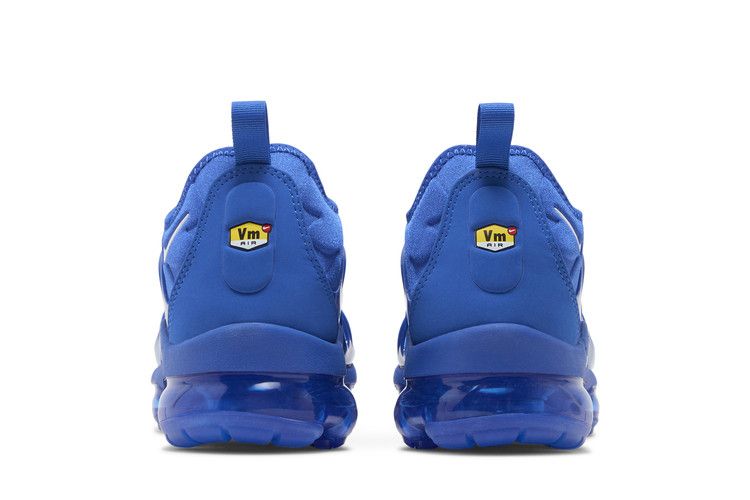 Nike Air VaporMax Plus Game Royal Metallic Silver
