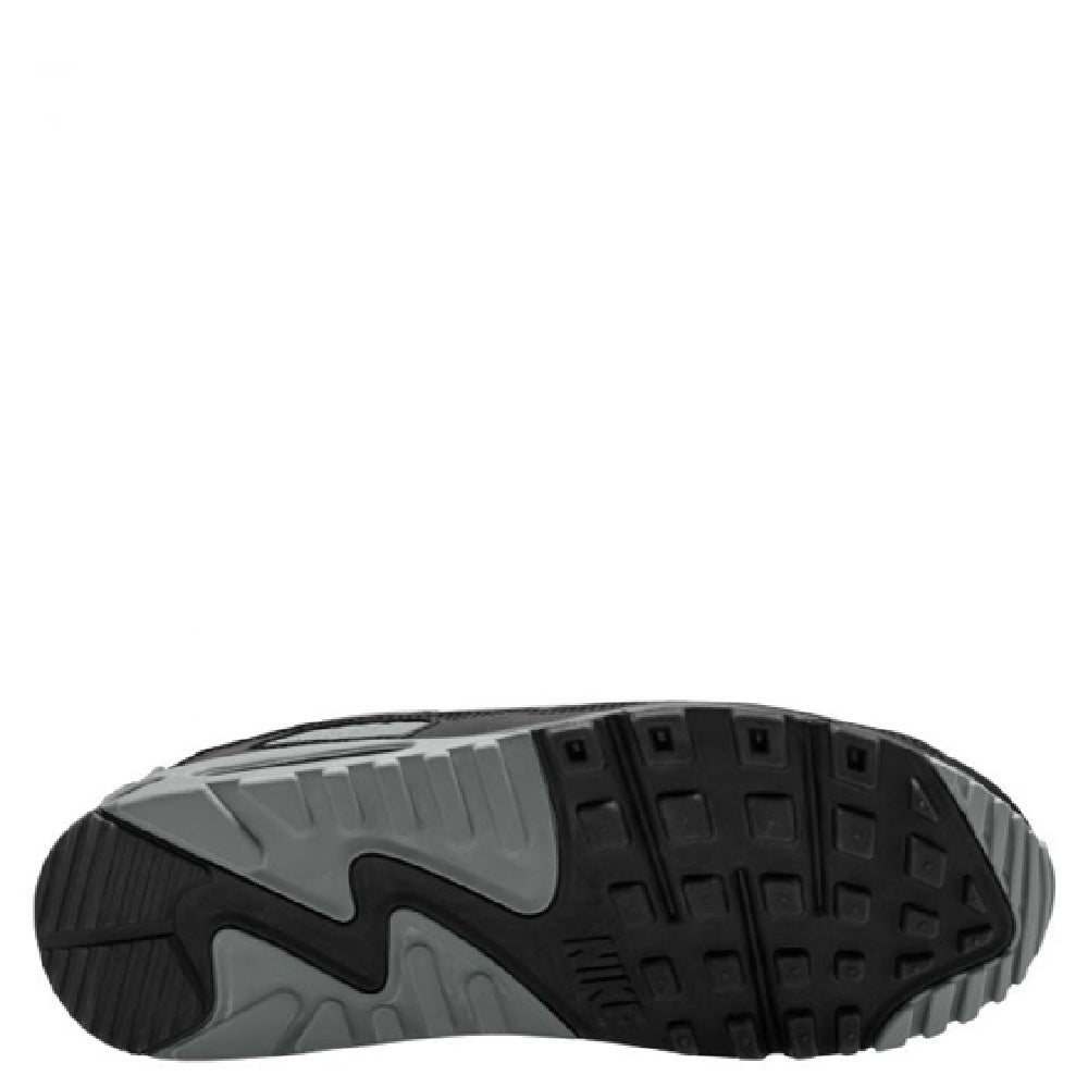 Nike Air Max 90 Smoke Grey/Photon Dust-Black (DM0029 020)