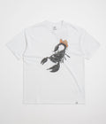 Nike ACG Scorpion T-Shirt - Summit White