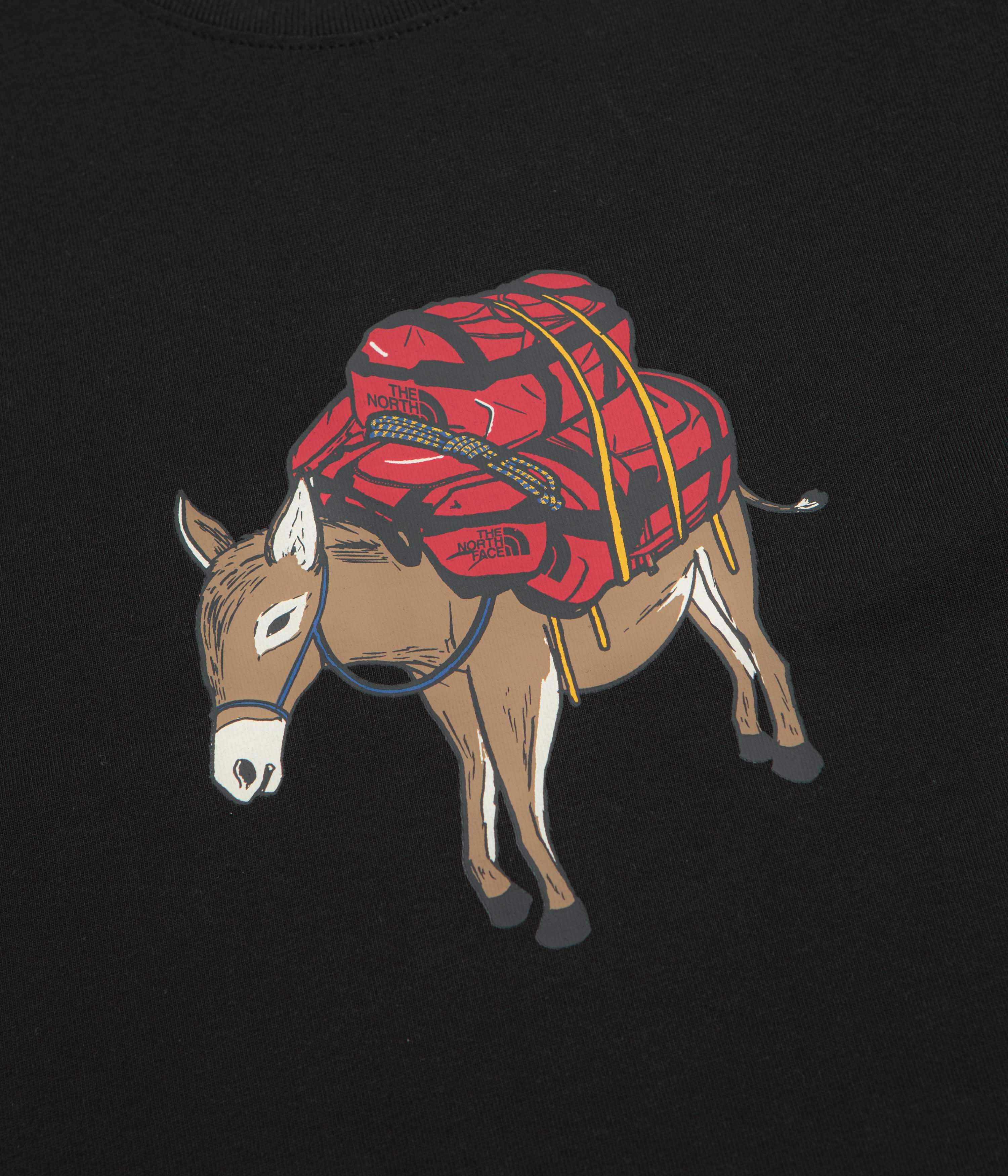The North Face Donkey Taxi Relaxed T-Shirt - TNF Black