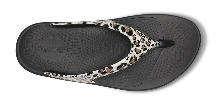 Women's OOlala Limited Sandal - Leopard top view